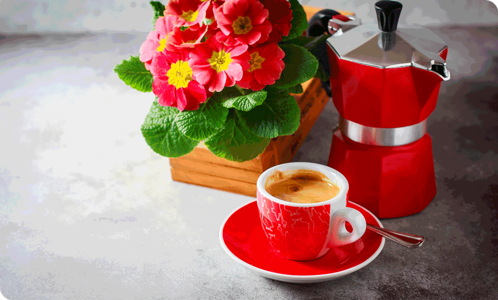 New Moka? Here is what to do to get off to a good start